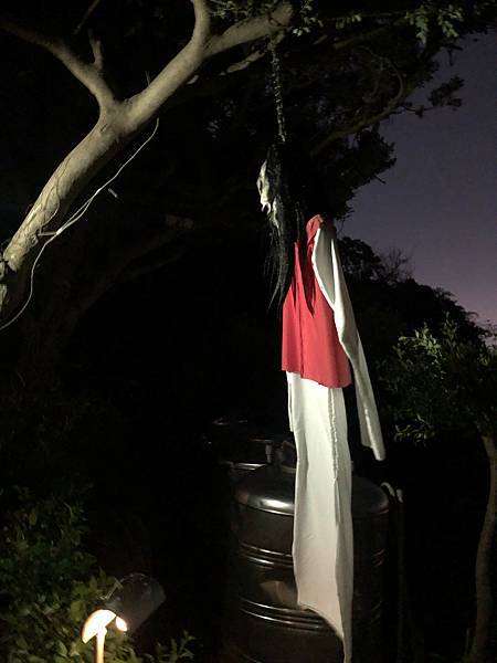 IMG_5678.jpg IMG_5678.jpg