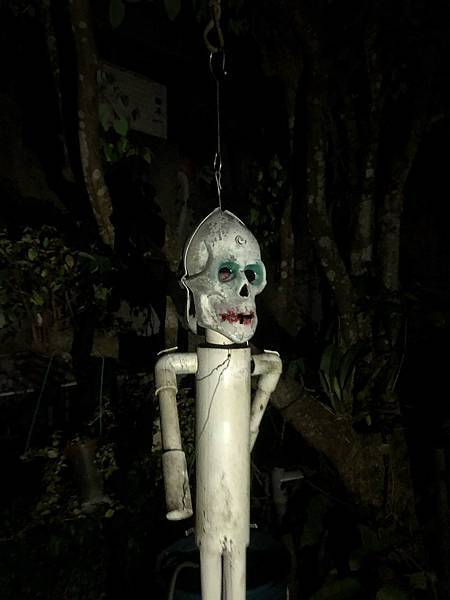 IMG_5684.jpg IMG_5684.jpg