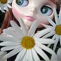 Blythe Veronica Lace 蕾絲01.jpg