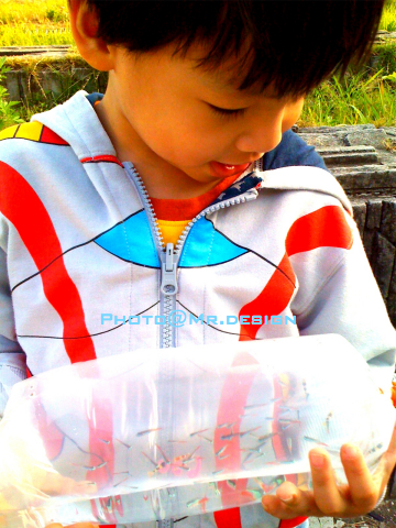 Todd & 6隻水晶小蝦蝦 & 50隻彩虹小小魚01.jpg Todd & 6隻水晶小蝦蝦 & 50隻彩虹小小魚01.jpg