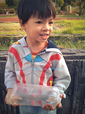 Todd & 6隻水晶小蝦蝦 & 50隻彩虹小小魚02.jpg Todd & 6隻水晶小蝦蝦 & 50隻彩虹小小魚02.jpg