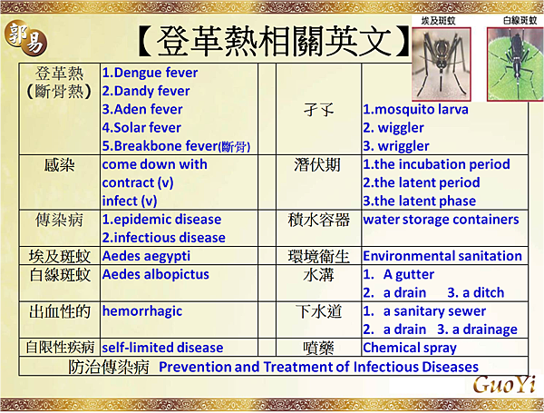 登革熱相關英文dengue fever