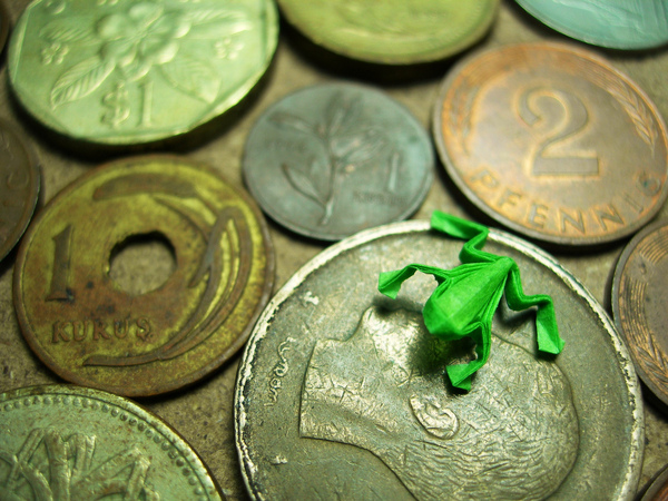 Frog and Coins Frog and Coins