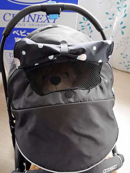 17951703_10154347826617624_7053662400214466565_n.jpg 17951703_10154347826617624_7053662400214466565_n.jpg