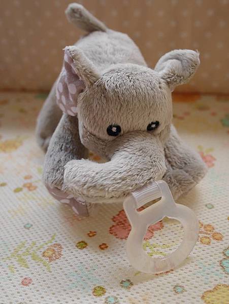 22550024_10154852221552624_4038585460041803989_n.jpg 22550024_10154852221552624_4038585460041803989_n.jpg