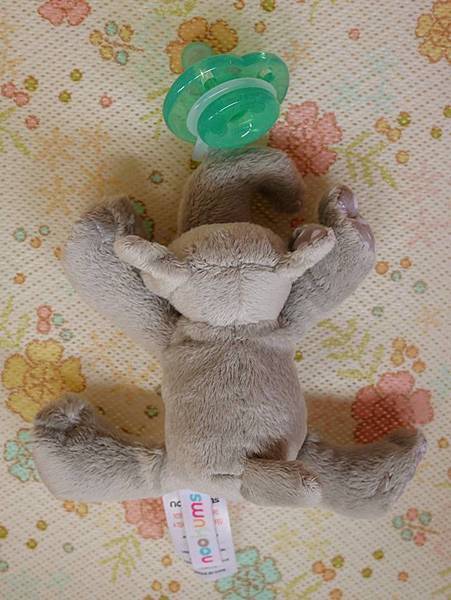 22554949_10154852221262624_5896347054909140493_n.jpg 22554949_10154852221262624_5896347054909140493_n.jpg