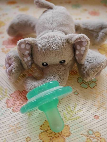 22687718_10154852221332624_1243426260667564515_n.jpg 22687718_10154852221332624_1243426260667564515_n.jpg