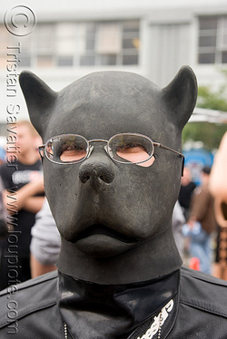 2709835794-puppy-play-dog-latex-mask-dore-alley-fair-san-francisco_2.jpg