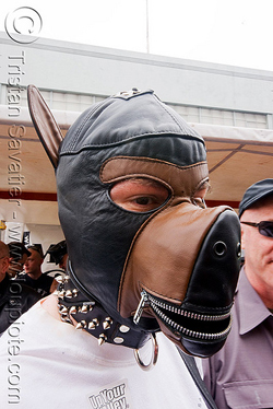 2709838796-pupplay-dog-mask-dore-alley-fair-san-francisco_2.jpg