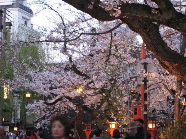 黃昏時的祇園白川