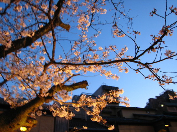 夜幕漸垂的祇園白川