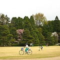 很像公園的植物園一角