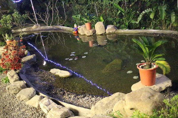 綠樹林幸福農場休閒餐廳:{高雄}口碑卷NO.43~綠樹林幸福農場休閒餐廳.遠離喧嘩城市親近大自然的旅行 綠樹林幸福農場休閒餐廳:{高雄}口碑卷NO.43~綠樹林幸福農場休閒餐廳.遠離喧嘩城市親近大自然的旅行