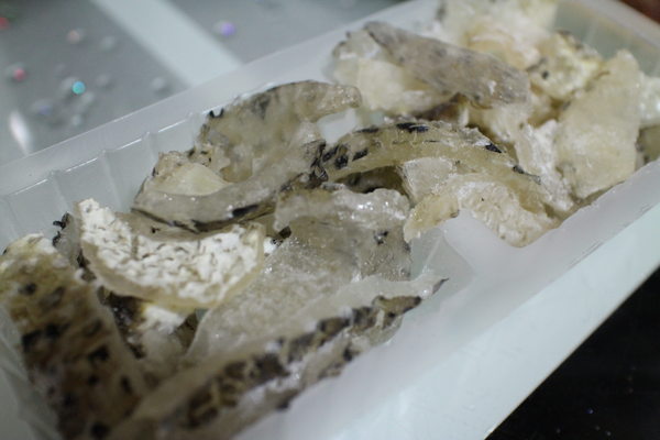 花格海味:{宅配美食}口碑卷NO.28~超澎拜!澎湖直送活凍海產~【花格海味】 花格海味:{宅配美食}口碑卷NO.28~超澎拜!澎湖直送活凍海產~【花格海味】