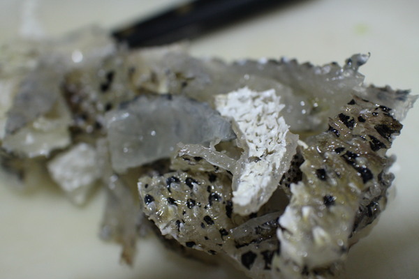 花格海味:{宅配美食}口碑卷NO.28~超澎拜!澎湖直送活凍海產~【花格海味】 花格海味:{宅配美食}口碑卷NO.28~超澎拜!澎湖直送活凍海產~【花格海味】