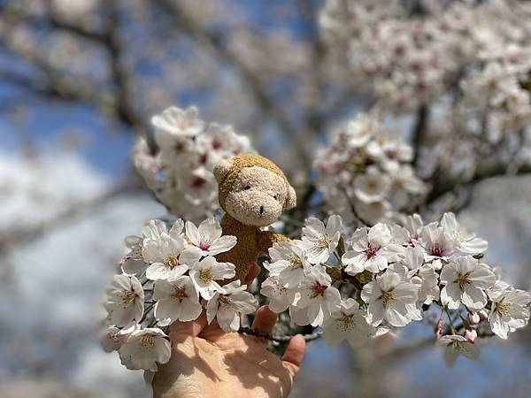 IMG_4685.jpg IMG_4685.jpg