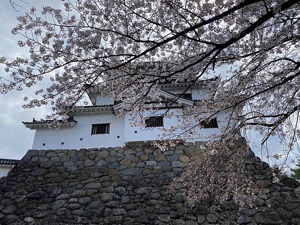 IMG_4659.jpg IMG_4659.jpg