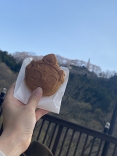 IMG_4733.jpg IMG_4733.jpg