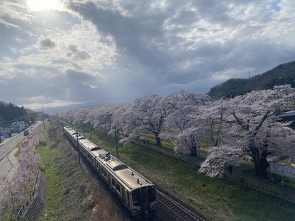 IMG_4715.jpg IMG_4715.jpg