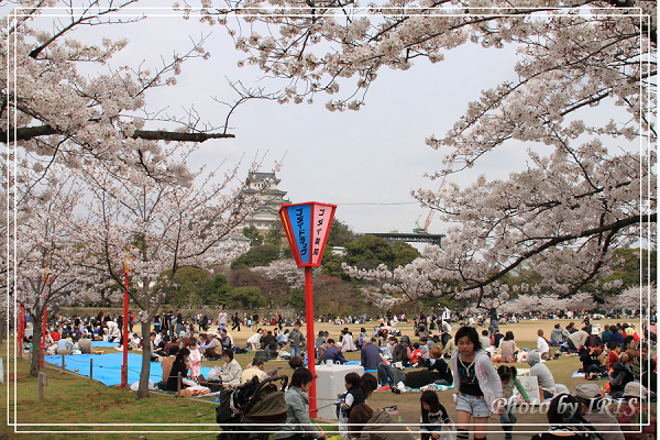 京都0405083.jpg