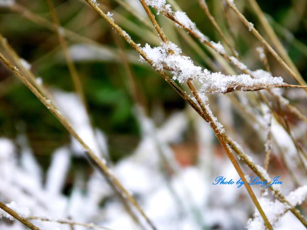 雪