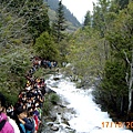 滿山滿谷的遊客