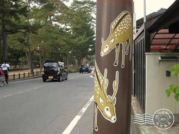 2011.12.04京都 1073.jpg