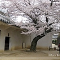 姬路城2010_0405_110742.jpg