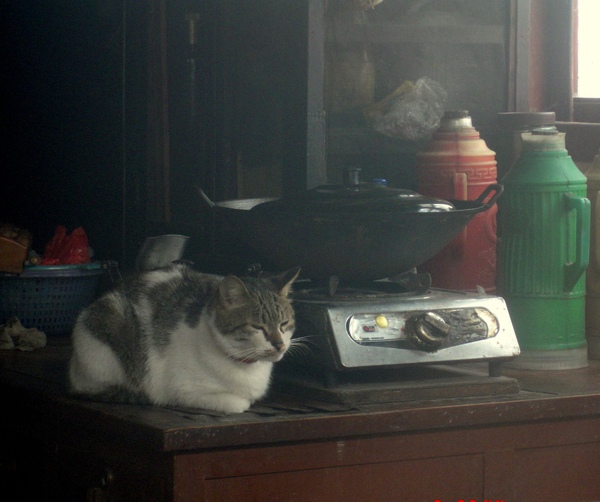 DSC00981.JPG