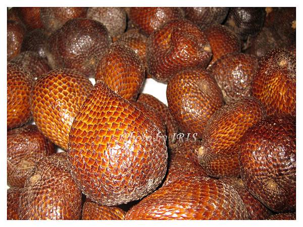 巴里島照片 248.jpg