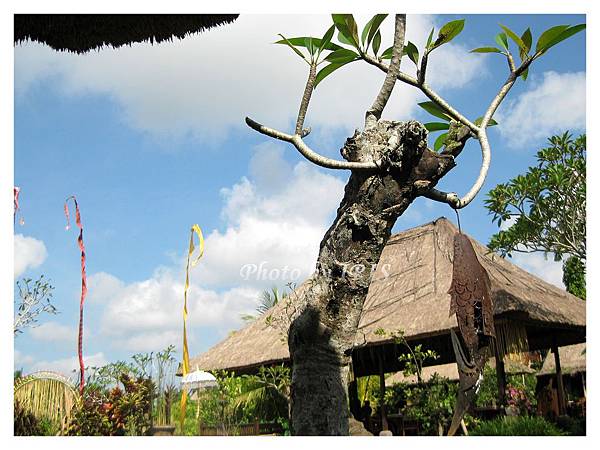 巴里島照片 339.jpg