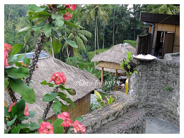 巴里島照片 373.jpg