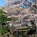 奈良古寺與梅花鹿2010_0411_222028.jpg