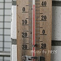 IMG_2465.jpg