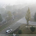 IMG_2525.jpg