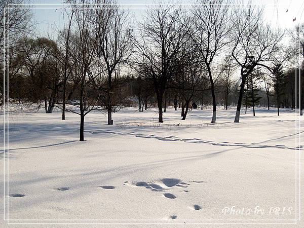 太陽島冰雪大世界-62.jpg