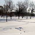 太陽島冰雪大世界-62.jpg