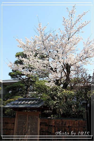 京都文化遺產2010_0403_090209.jpg