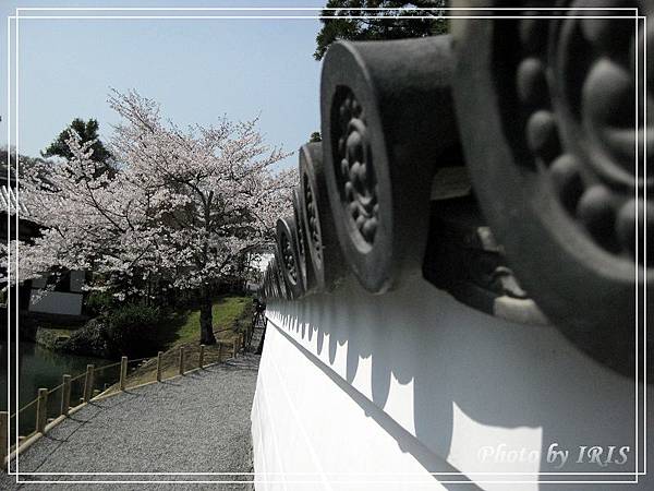 京都文化遺產2010_0403_091344.jpg