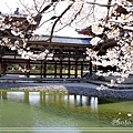 京都文化遺產2010_0403_091424.jpg