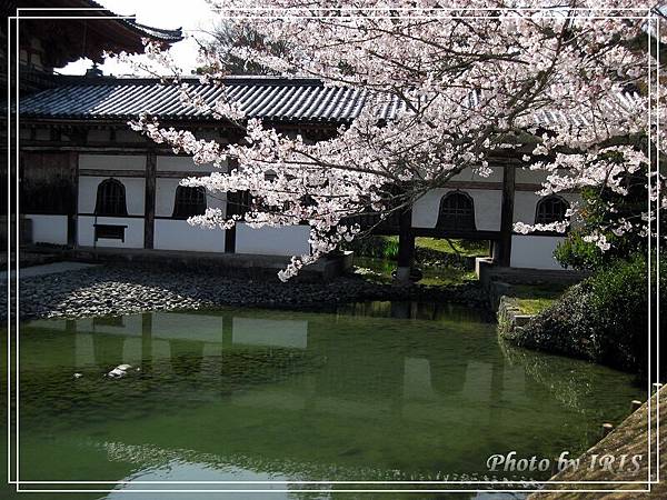 京都文化遺產2010_0403_091426.jpg