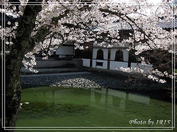 京都文化遺產2010_0403_091600.jpg