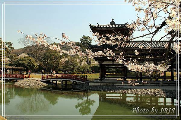 京都文化遺產2010_0403_091631.jpg