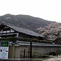 京都文化遺產2010_0403_141008.jpg