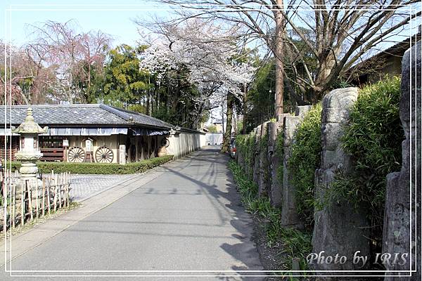 京都文化遺產2010_0403_142445.jpg
