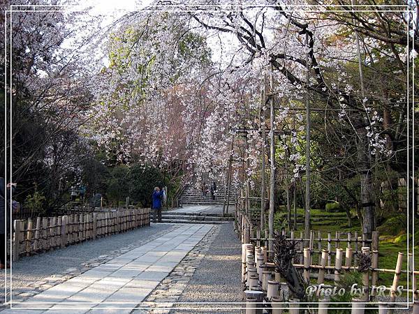 京都文化遺產2010_0403_154709.jpg