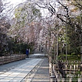 京都文化遺產2010_0403_154709.jpg