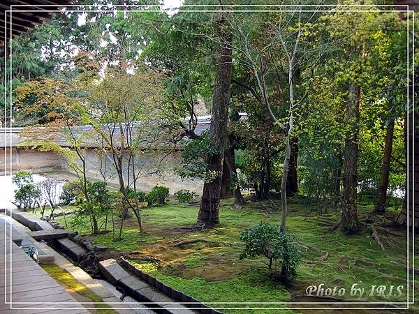 京都文化遺產2010_0403_155308.jpg