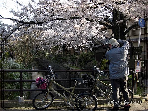 京都單車2010_0404_154636.jpg