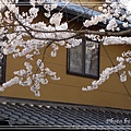 京都單車2010_0404_154809.jpg